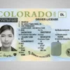 Buy A Colorado Driver’s License